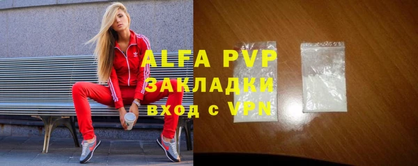 хмурый Алексин