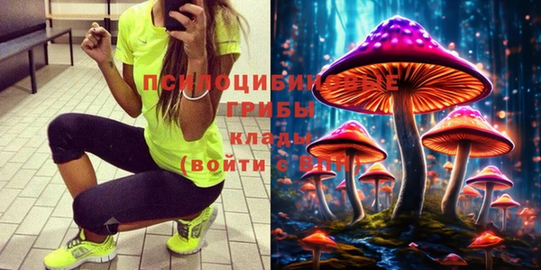 хмурый Алексин