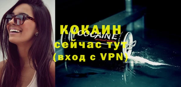 хмурый Алексин
