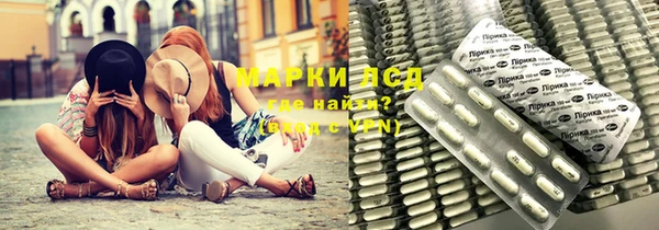 хмурый Алексин