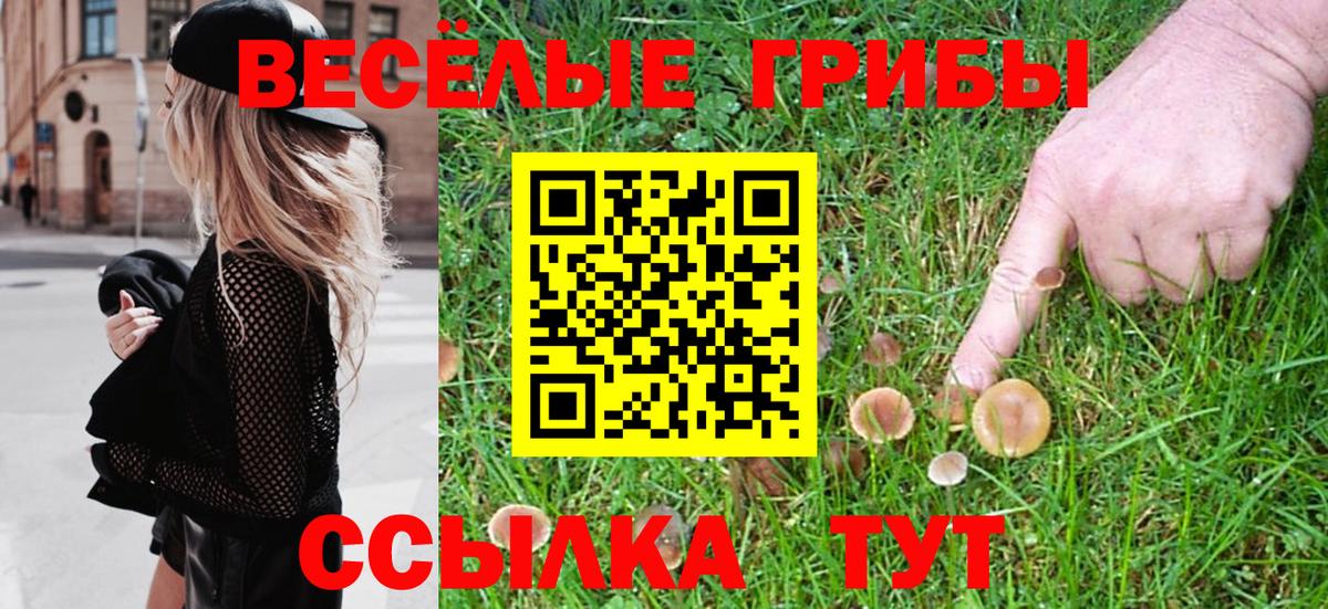 Ейск  Псилоцибиновые грибы мухоморы  Вход с VPN  Галлюциногенные грибы MAGIC MUSHROOMS 
